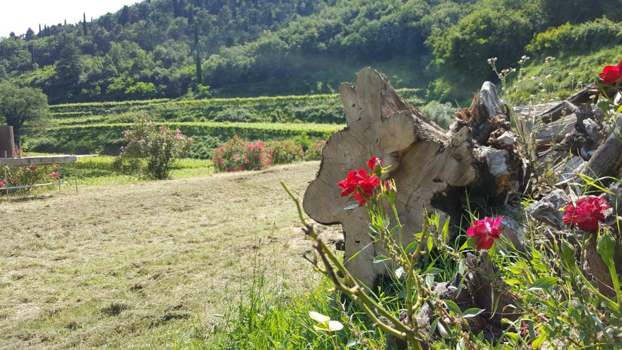 La Casetta Di Chiara Apartamento